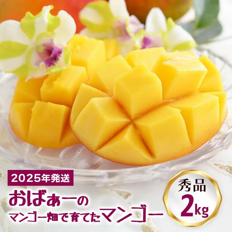 【 先行予約 2026年 発送 】 おばぁーのマンゴー畑で育てた マンゴー 2kg ( 秀品 ) 沖縄県産 アップルマンゴー アーウィンマンゴー 2キロ 国産 完熟マンゴー 果物 くだもの フルーツ 