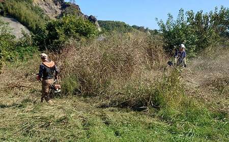 【返礼品なし】【キャンプ】津志田河川自然公園の維持管理（5万円）