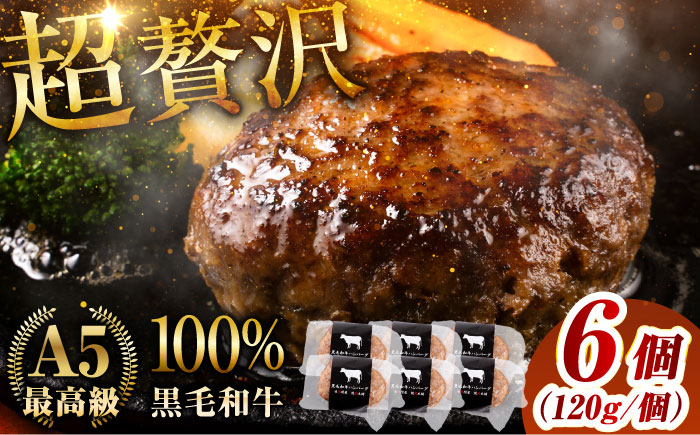 黒毛和牛 ハンバーグ 6個 (120g×1個入×6パック) 【株式会社中野畜産】 [BHAQ001]