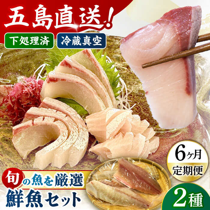 【ふるさと納税】【全6回定期便】金澤仕立て 鮮魚ボックス 旬の魚2種 五島市/金沢鮮魚[PEP010] 冷蔵 真空パック 新鮮 下処理済み 海鮮 刺身 セット