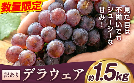 デラウェア ご家庭用デラウェア 約1.5kg