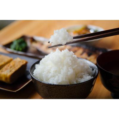 ふるさと納税 十日町市 【令和6年産】厳選棚田米(超低農薬)魚沼産コシヒカリ特別栽培米5kg |  | 02