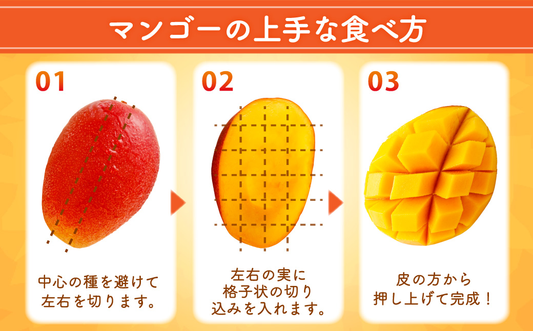 ＜宮崎県産 完熟マンゴー 4L×2玉(合計 約1kg)＞ ※2026年5月上旬～7月中旬までに順次出荷 マンゴー 果物 くだもの フルーツ 完熟 南国