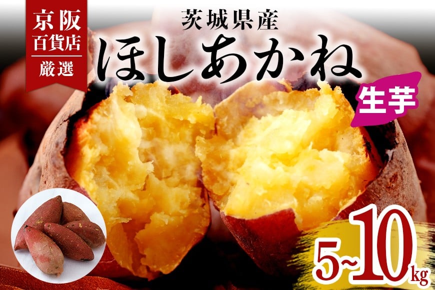 
            【京阪百貨店厳選】茨城県産ほしあかね 選べる 5kg 10kg [A品L～2Lサイズ] [サイズ無選別品] 芋 さつま芋 サツマイモ さつまいも B18-SKU-003
          