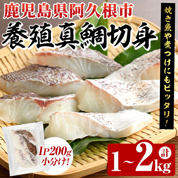 【ふるさと納税】＜内容量が選べる！＞養殖真鯛切身(約1～2kg) 鹿児島県 阿久根市 たい タイ 真鯛 魚貝 魚介 海産物 切身 切り身 煮物 煮つけ 焼き魚 おかず おつまみ 小分け【さるがく水産】