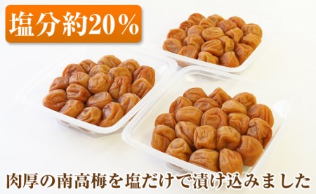 【0752-4】【和歌山県/紀州南高梅】紀州南高梅 昔ながらの白干し梅 1.5kg（500g×3パック） 塩分約20%