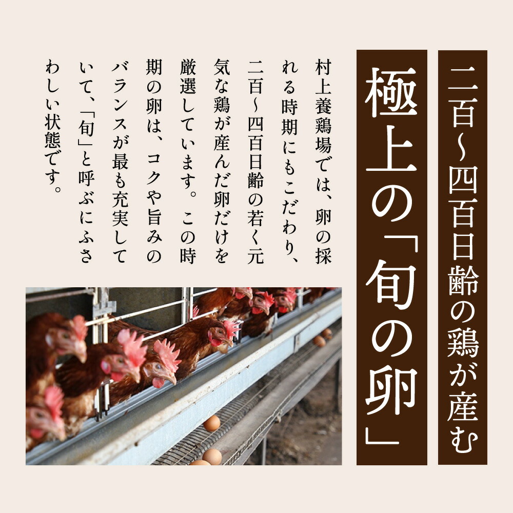 【12ヶ月定期便】「村上さん家のせせらぎ卵」75個＋5個破卵補償 (計80個） 極上たまご 卵 兵庫県 丹波市