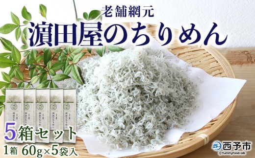 老舗網元　濵田屋のちりめん５箱セット　（1箱　60g×5個入）