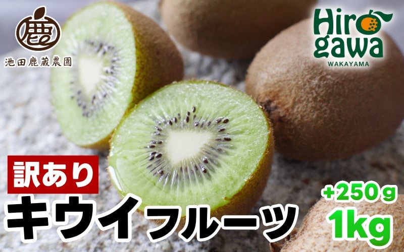 
            キウイ 家庭用 1kg+250g（痛み補償分） / キウイフルーツ 訳あり 和歌山  ※2025年11月中旬～2026年6月下旬に順次発送 ※北海道・沖縄・離島への配送不可【ikd505-c-1A】
          