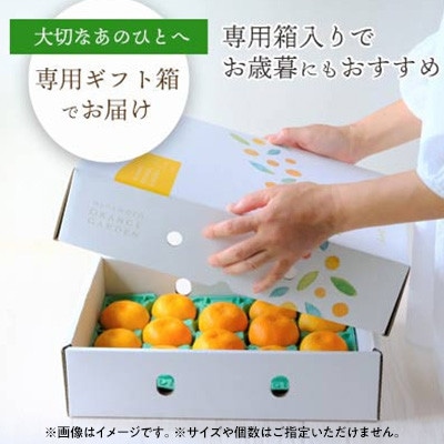 【2025年11月より順次発送】まどんな (愛媛果試28号) 贈答箱入り のし付き【D25−170】【1536523】