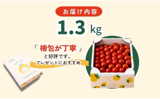 【先行予約】【12月中旬より順次発送】白岡市産 ミニトマト「おやつトマト」小鈴 1.3kg 化粧箱入り 甘みと酸味の濃い味わい 皮がやわらかい 完熟収穫 常温便 埼玉県産 野菜 おやつ お弁当 サラダ