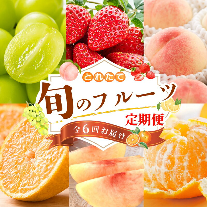 【ふるさと納税】 【フルーツ定期便・全6回】品質に自信あり！くしがきの里から直送　厳選した果物を最高のタイミングでお届け♪ / 定期便 桃 もも みかん 柑橘 シャインマスカット マスカット いちご 不知火 はれひめ イチゴ 苺 果物 フルーツ 6回