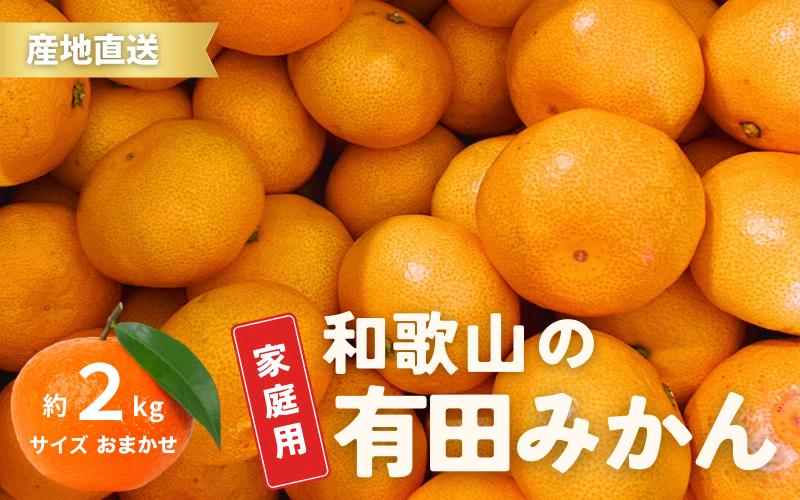 
＼配送月が選べる！／ ご家庭用 有田みかん 和歌山 S～Lサイズ 大きさお任せ 2kg / みかん フルーツ 果物 くだもの 有田みかん 蜜柑 柑橘【ktn005-cho】
