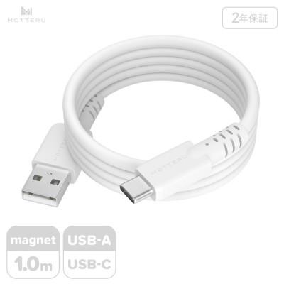 ふるさと納税 海老名市 マグネットシリコンケーブル A to C 1m エアリーホワイト(MOT-MGSAC100)