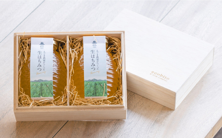 ＜えごま農家がつくった＞生はちみつ 400g ギフトセット / 蜂蜜 ハチミツ 熟成 ビタミン / 佐賀県 / 株式会社中村[41AJCN002]