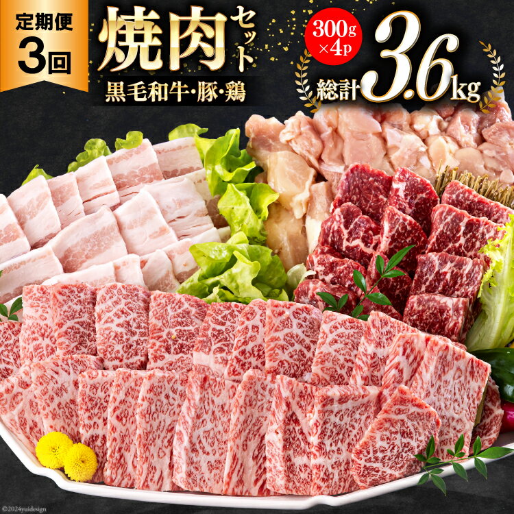 【ふるさと納税】牛肉 3回 定期便 宮崎県産 焼肉 セット 黒毛和牛カルビ 豚バラ 若鶏モモ 各 300g 計 1.2kg ×3回 [サンアグリフーズ 宮崎県 美郷町 31ba0036-NEW] 小分け 冷凍 BBQ 詰め合わせ 経産牛 もも肉 モモ 牛 豚 鶏 カルビ バラ肉
