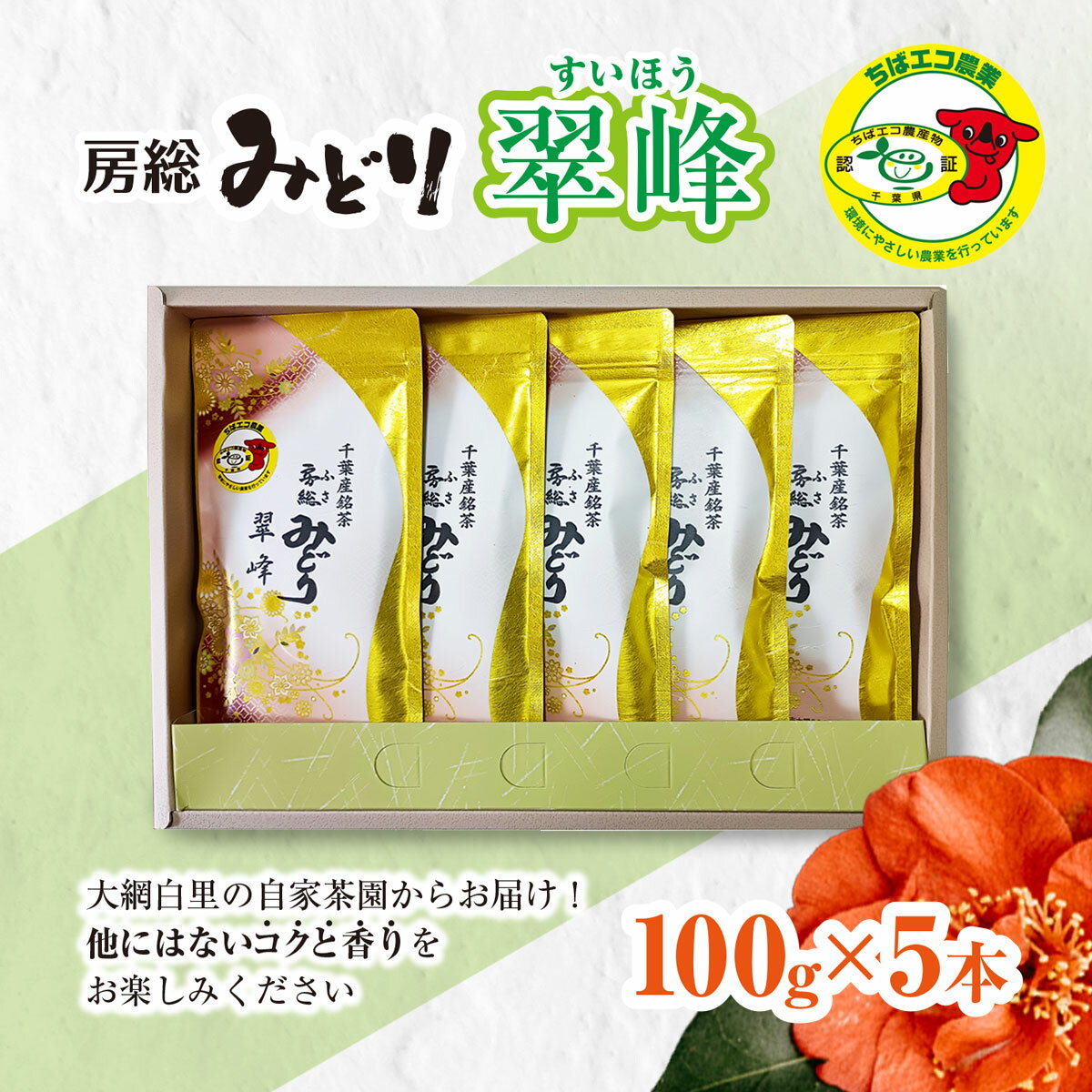 【ふるさと納税】【ちばエコ農産物認証茶葉】翠峰5本セット 【 ふるさと納税 人気 おすすめ ランキング お茶 緑茶 日本茶 茶葉 千葉県 大網白里市 送料無料 】 H002