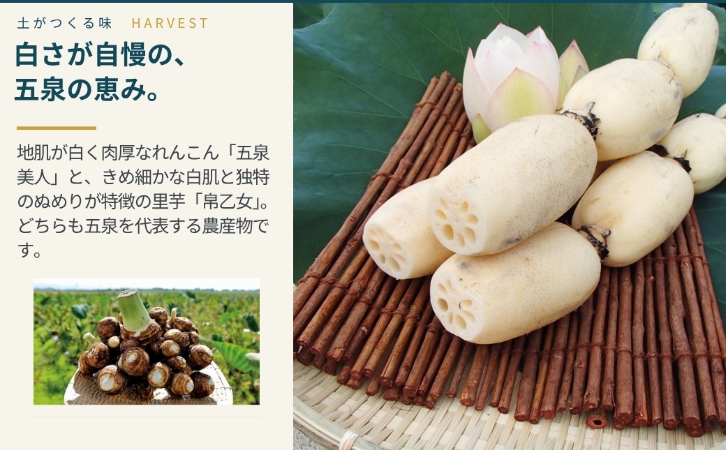 五泉市村松金鵄盃酒造の蔵のこだわり清酒6種をお楽しみください♪