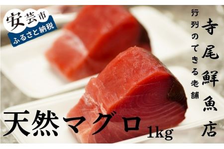 冷凍天然マグロ 赤み 1kg  キハダマグロ