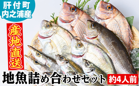 【A09002】地魚詰め合わせセット(約4人分) 鹿児島 国産 九州産 産直 産地直送 鮮魚 新鮮 魚 海産物 お刺身 煮つけ 焼き魚【マルケイ水産】