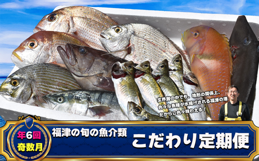 【年6回奇数月】福津の旬の魚介類こだわり定期便【随時開始】[G7019]