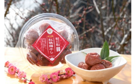 日本唯一！烏梅職人手づくり 七百年の伝統 本物梅づくし（竹）味比べ5点セット 梅 鳥梅 手作り 無添加 梅干し 梅 鳥梅 手作り 無添加 梅干し 梅 鳥梅 手作り 無添加 梅干し 梅 鳥梅 手作り 無