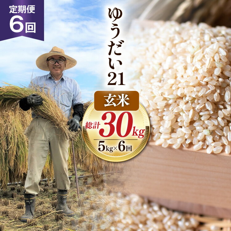 【ふるさと納税】 6回 定期便 米 令和7年産 玄米 ゆうだい21 5kg×6回 計30kg [穂足農園合同 山梨県 韮崎市 20745231] お米 コメ ご飯 ごはん 山梨県産
