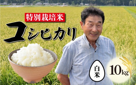 令和8年産 特別栽培米 コシヒカリ 白米 10kg 新米 新潟 米 新潟県 こめ ご飯 ごはん おいしい こしひかり 新発田 新発田産 新潟産 朝食 昼食 夕飯 炊きたて 精米 success002_2025
