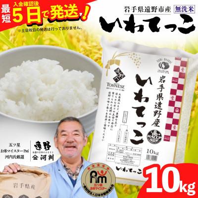 ふるさと納税 遠野市 【令和7年産】いわてっこ(無洗米) (精米)岩手県遠野市産 10kg 河判