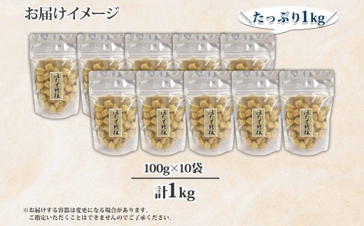 2119.ほたて 干し貝柱 ホタテ貝柱 帆立 貝柱 100g×10 計1kg 小分け ホタテ ほたて貝柱 海鮮 おつまみ 酒の肴 炊き込みご飯 出汁 送料無料 北海道 弟子屈町