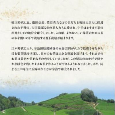 ふるさと納税 京都府 【毎月定期便】【お茶 ペットボトル】京都産 宇治茶 ペットボトル 500ml×24本全12回 |  | 03