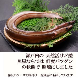 鱧の照り焼き（100g×15切れ）【冷凍】【C-14】