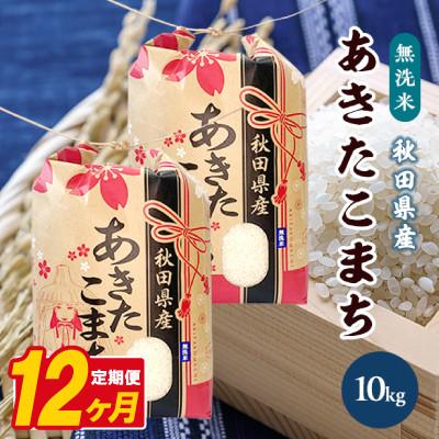 ふるさと納税 八郎潟町 【毎月定期便】あきたこまち 10kg(5kg×2袋)【精米・無洗米】 秋田県産全12回