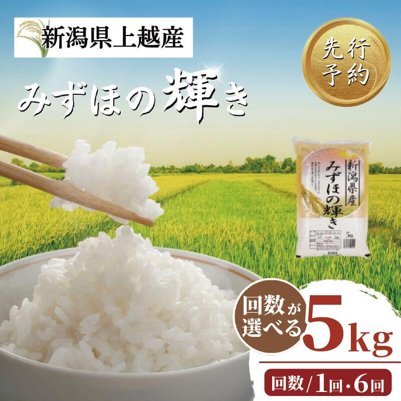 【ふるさと納税】【先行予約】令和8年 新米 新潟上越産 みずほの輝き 5kg 5キロ 配送回数が選べる 新潟 新潟県 限定　お届け：毎月1回20日(土日/祝日を除く)に発送いたします。