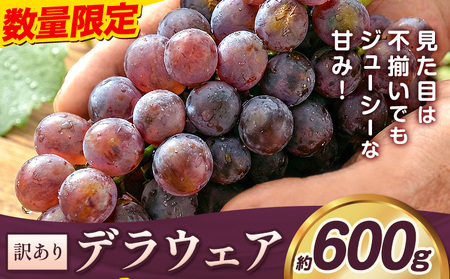 デラウェア ご家庭用デラウェア 約600g