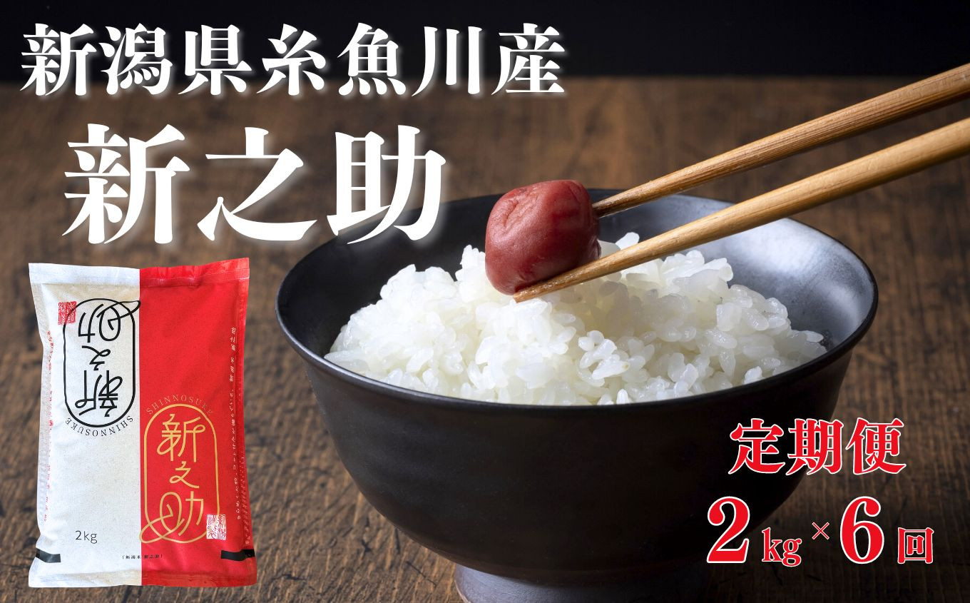 
令和6年産新米予約【定期便】新之助 2kg×6ヶ月 計12kg 早川の清流が育んだ美味しいお米 新潟県糸魚川産 2024年磯貝農場【毎月お届け しんのすけ 米 お米 こめ ご飯 ライス ふるさと納税米 食品 人気 おすすめ お弁当 おにぎり ギフト 新潟県の新しいブランド米 農家直送 2キロ 精米 6回 6か月 先行予約】
