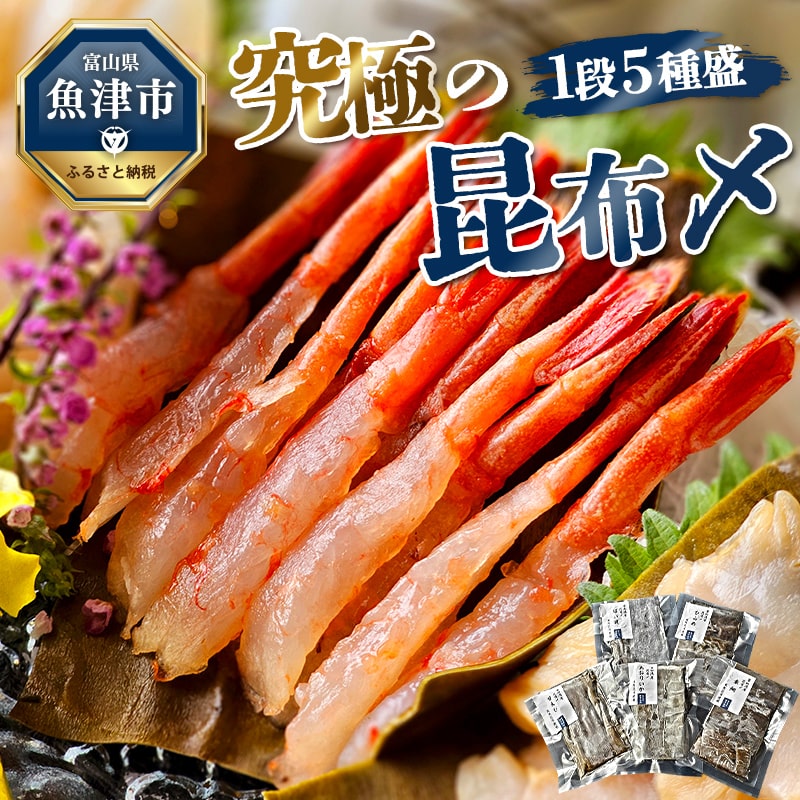究極の昆布〆、1段5種盛（急速冷凍品）魚卸問屋はりたや 富山県魚津市 昆布締め こぶじめ 刺身 天然昆布 ※北海道・沖縄・離島への配送不可