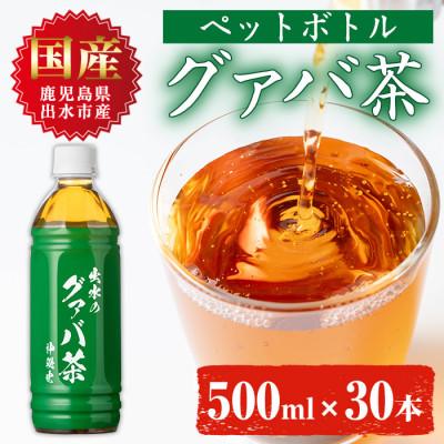 ふるさと納税 出水市 グアバ茶PET(神秘也)500ml×30本 I1137-B