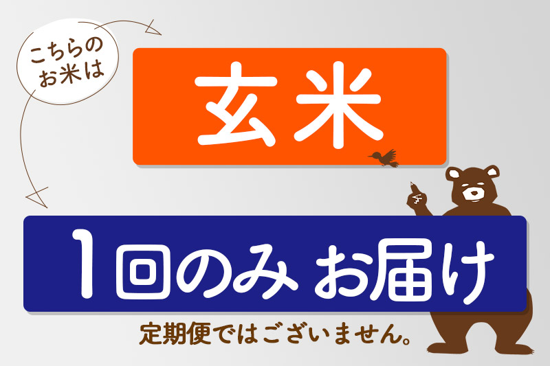 ※令和7年産 新米※秋田県産 あきたこまち 10kg【玄米】(5kg小分け袋)【1回のみお届け】2025年産 お届け時期選べる お米 すずき農産