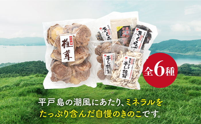 平戸 きのこ 乾物詰合せ【有限会社　きのこ屋】[KAD066]/ 長崎 平戸 乾物 干物 椎茸 しいたけ きくらげ オーガニック 有機  