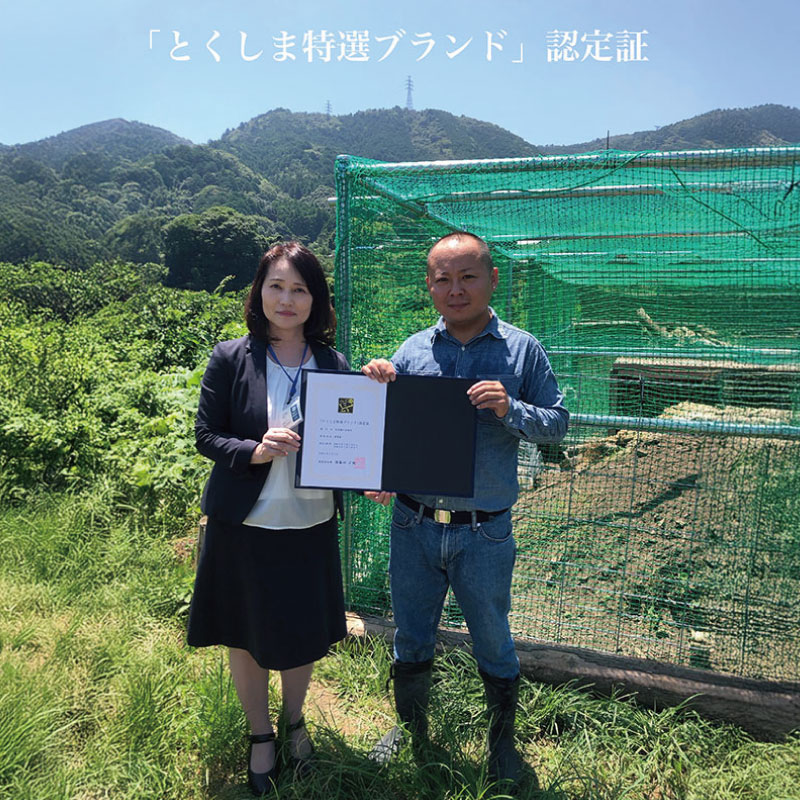 烏骨鶏の有精卵 10個 たまご 玉子 生卵 ゆで 鶏 卵焼き 卵かけご飯 ごはん こめ 米 すき焼き 牛丼 玉ねぎ うなぎ う巻き プリン フライパン お菓子 サンド 高級 年 定 日 ふるさと 徳島