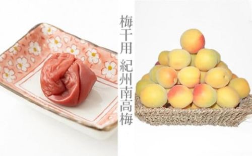 【梅干・梅酒用】（2LまたはL−2Kg）熟南高梅＜2025年6月上旬～7月7日発送予定＞フルーツ 果物 くだもの 食品 人気 おすすめ 送料無料【ART04】