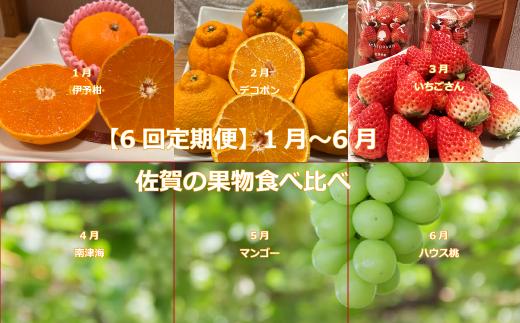 
【6回定期便】1〜6月佐賀の果物食べ比べ
