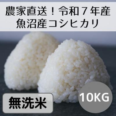 ふるさと納税 十日町市 【令和7年産】新潟県魚沼産コシヒカリ「山清水米」無洗米10kg