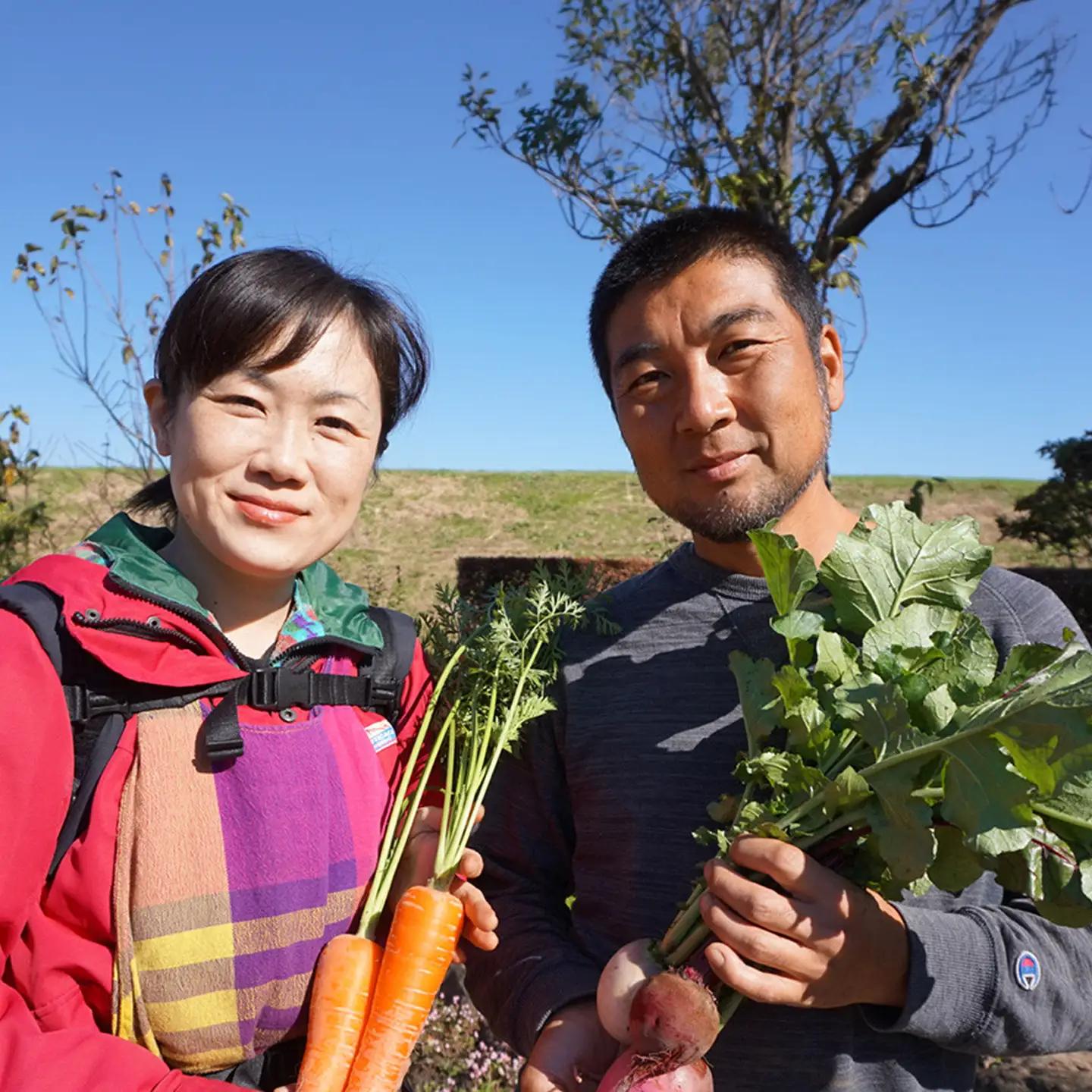 野菜 無農薬 農園自慢の情熱野菜セット 9種 【 6ヶ月 連続 お届け 】 