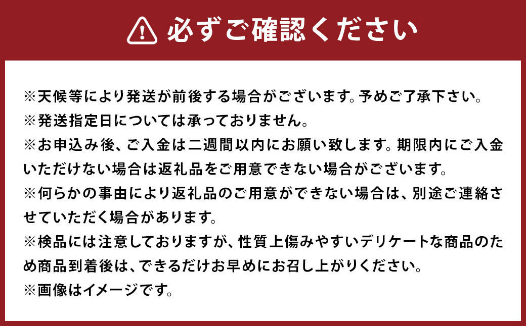 少量オススメ！木なり完熟不知火約2.5㎏