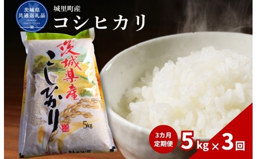 コシヒカリ 5kg  定期便 3ヶ月 米 こめ コメ お米 おこめ こしひかり 白米 精米 ごはん ご飯 令和7年産 茨城県 城里町 高萩市（茨城県共通返礼品・城里町産）