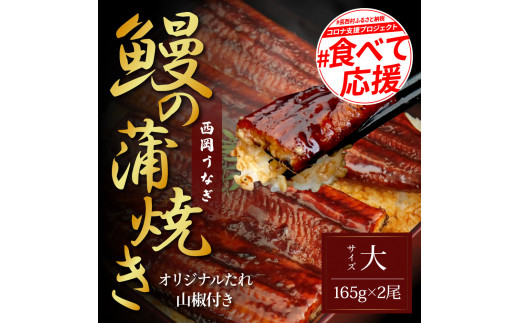 
本気の高知ブランド鰻「西岡うなぎ」～大サイズ～うなぎの蒲焼き2尾セット（約330g）・タレ山椒付き ＃食べて応援
