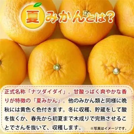【2027年4月中旬より発送】夏みかん7.2kg【日高町】【1216956】