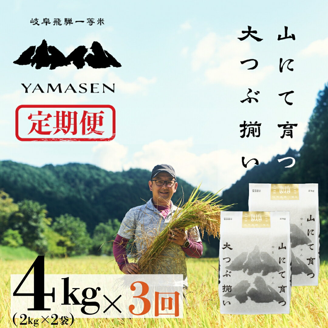 【ふるさと納税】令和6年産米 令和7年産【定期便】山仙（いのちの壱） 毎月 2kg × 2（4kg）× 3ヵ月 （定期お届け） 山仙組合（有限会社 すがらたいす） 下呂市 12キロ 米 2024年産 お米 白米 ご飯 農家直送 送料無料 新米 令和7年 令和7年産 2025年産 新米予約 先行予約